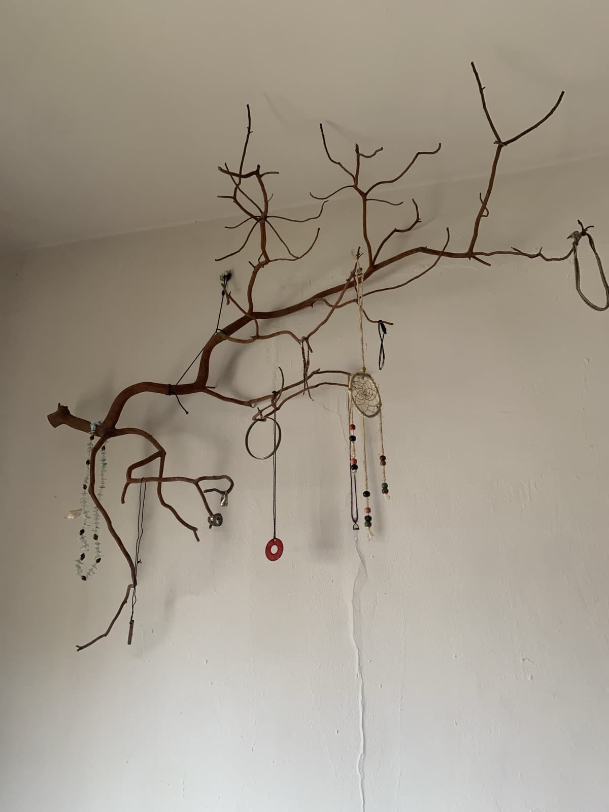 Branch Rack